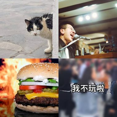 小尾巴