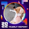 2022 个人年度精选