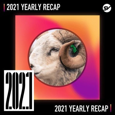 2021 个人年度精选之最