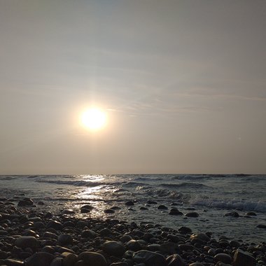 忧泥控