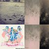 来自土壤的无私拥抱•|•Brace from Soil