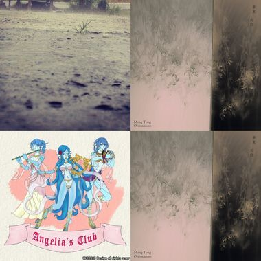 来自土壤的无私拥抱•|•Brace from Soil