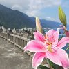 灵魂深处的空虚、寂寞、荒唐。