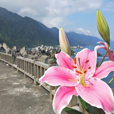 灵魂深处的空虚、寂寞、荒唐。
