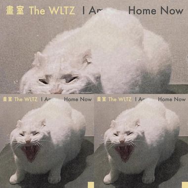 画室 The WLTZ
