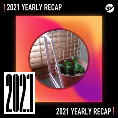 2021 个人年度精选之最