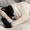 NYA