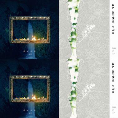 植光计画