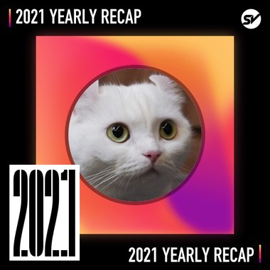 2021 个人年度精选之最