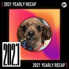 2021 个人年度精选之最