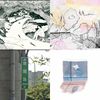 抛椭双