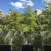 20190901河滨