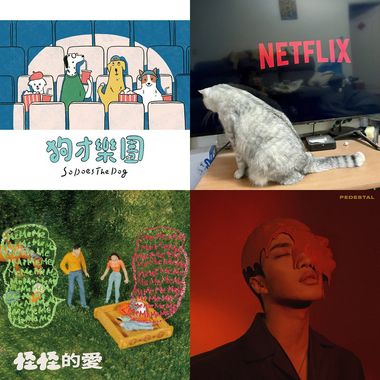 忘记第几个了
