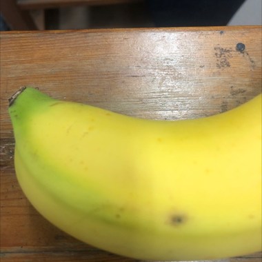 蛤