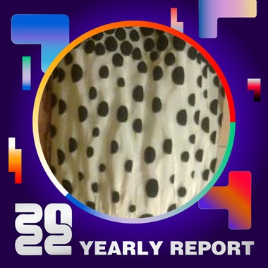 2022 个人年度精选
