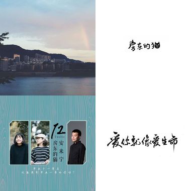 房东的猫
