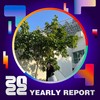 2022 个人年度精选