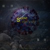 寂净星空 ( silent starry sky)