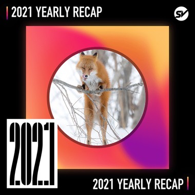2021 个人年度精选之最