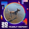 2022 个人年度精选