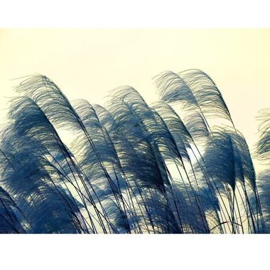 知更