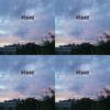 虎哥番茄-DEMOS