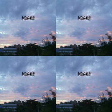 虎哥番茄-DEMOS