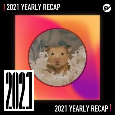 2021 个人年度精选之最