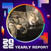 2022 个人年度精选