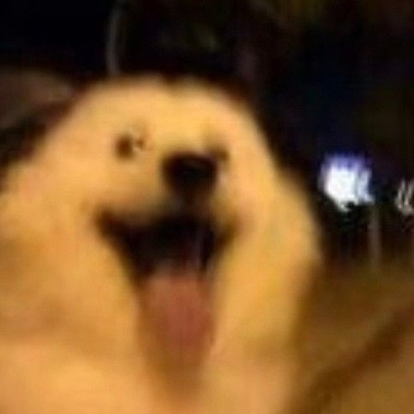 嘻嘻