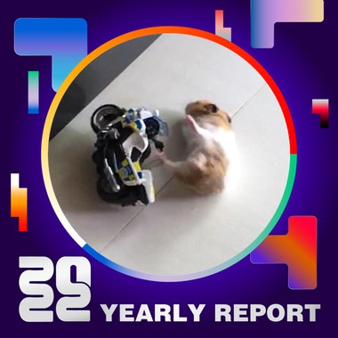2022 个人年度精选