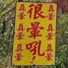 晕的咪咪猫猫