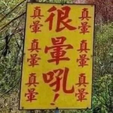 晕的咪咪猫猫