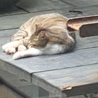 毕业ㄍ