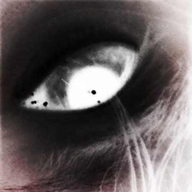 该说再见了朋友们