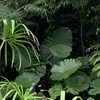 Chill Playlist