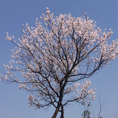 发现