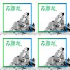 若离派