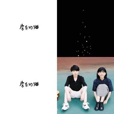 房猫