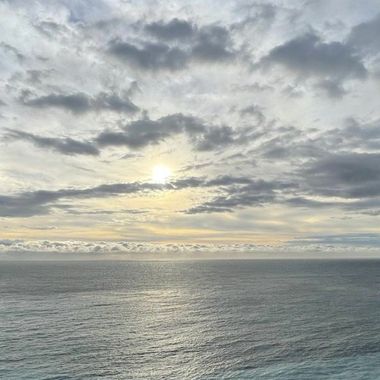 海岛奇遇?