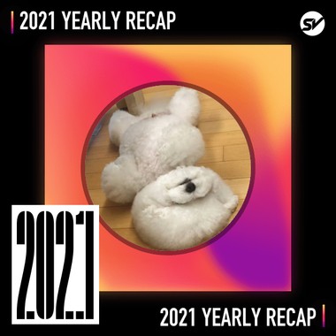 2021 个人年度精选之最