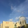 养鸡协会理事长