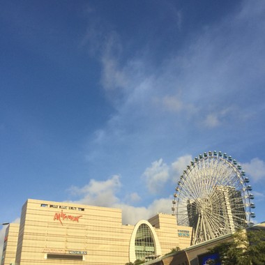 养鸡协会理事长