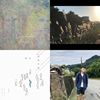 柔柔软软