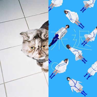 可爱