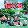 猫の夏💦库玛拉的夏日奔驰歌单
