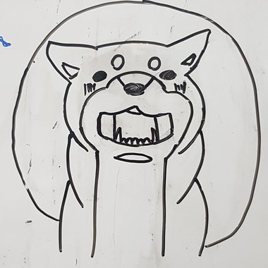 柴犬可爱