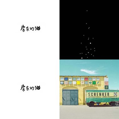 房东的猫