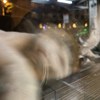 就歌啦麻烦
