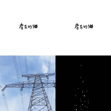 房东的猫